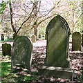 TG2108 : Late 19th century graves in Section 2 by Evelyn Simak