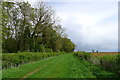 Bridleway past Wymark Spinney