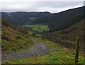 Cwm Crychan, track and valley view from the forest boundary