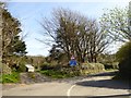 Narrow road in Bossiney