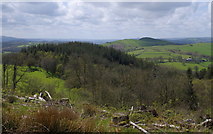 SN8237 : Open view after forest felling by Andrew Hill