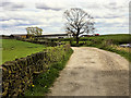 Rowlands Road towards Nabbs Farm