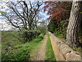 Footpath above Whorlton Banks