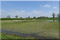 Wetland in Mickland Field