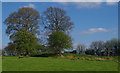 Field with ancient earthworks at Caer Du near Howey