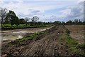 Land being prepared for development