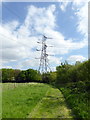 TQ3686 : Electricity Pylon on edge of Waterworks Nature Reserve by PAUL FARMER