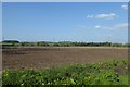 Farmland near Hollins Grove