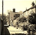 View south on Ice House Lane