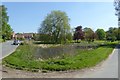 Pond in Skipwith