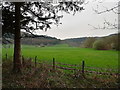 Pasture in the Ystwyth valley