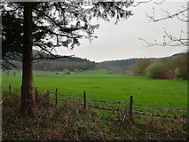 SN6772 : Pasture in the Ystwyth valley by Rudi Winter