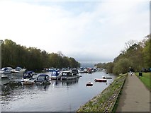 NS3982 : Moored boats, River Leven at Balloch by Elliott Simpson