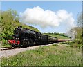 USA locomotive 6046 climbs the incline to Washford