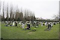 Looking up the cemetery