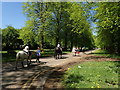 Young riders setting off on their first horse-ride