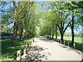 Wide avenue at Pontcanna Fields