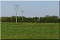 Powerlines over the meadow