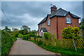 East Devon : Country Lane