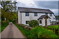 East Devon : Country Lane