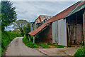 East Devon : Country Lane