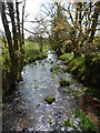 Stream at Watergate