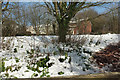 Bank and houses, Nut Bush Corner