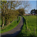 SO0759 : Lane by the far corner of Llandrindod Wells golf course by Andrew Hill