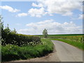 Footpath crosses Chevington Lane