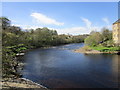 NZ0415 : The River Tees above Thorngate Bridge by Jonathan Thacker