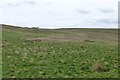 Rough pasture east of Dykehead farm