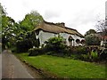 Thatched cottage, Wiggaton