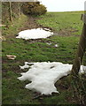 SX9150 : Patches of snow, Coleton Fishacre by Derek Harper