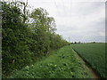 Bridleway to Fosse Lane