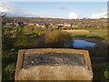 Lawn Farm Moated Site, Berryhill Fields