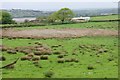 Rushy pasture near Llanant Farm