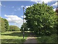 Path in Lyme Valley Park