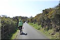 SX9787 : Cycle track between Topsham and Exton (2) by David Smith