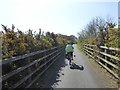 SX9787 : Cycle track between Topsham and Exton (3) by David Smith