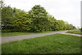 Hackthorn Road from Mill Lane