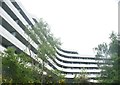 View of flats in the Chiswick Point development from Gunnersbury Triangle Nature Reserve