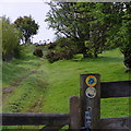 Wye Valley Walk - path continues up-hill