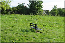 SX9266 : Benches on the grassland by John C