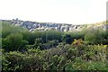 The disused Clady Quarry viewed from the Middlebank