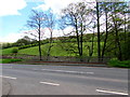 East side of an A479 river bridge north of Cwmdu, Powys