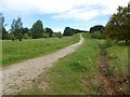 Ollerton Pit Woods