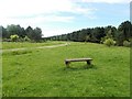 Ollerton Pit Woods