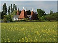 Knoxbridge Farm Oast, Knoxbridge, Frittenden