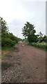 Pigeon Lane, Towards Bury St Edmunds