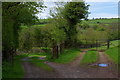 Farm track across the slopes of the Gwenddwr valley